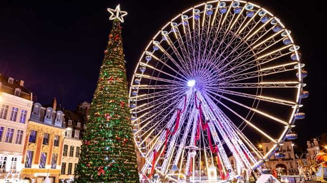 Ferris wheel and Christmas tree at night